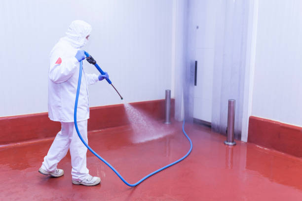Best Residential Exterior Washing  in Sebring, OH